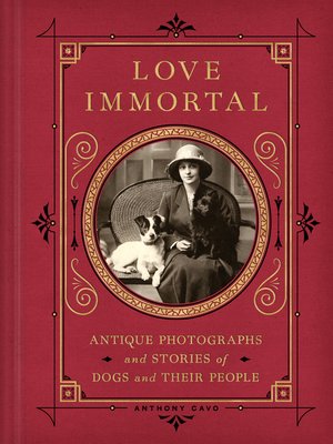 cover image of Love Immortal